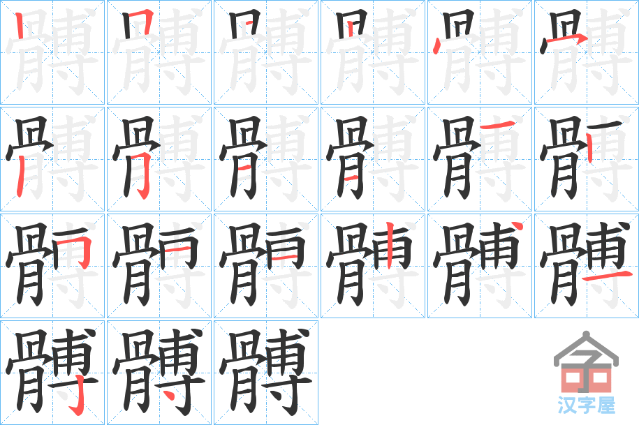 《髆》的笔顺分步演示（一笔一画写字）