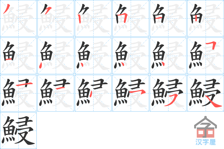 《鮼》的笔顺分步演示（一笔一画写字）