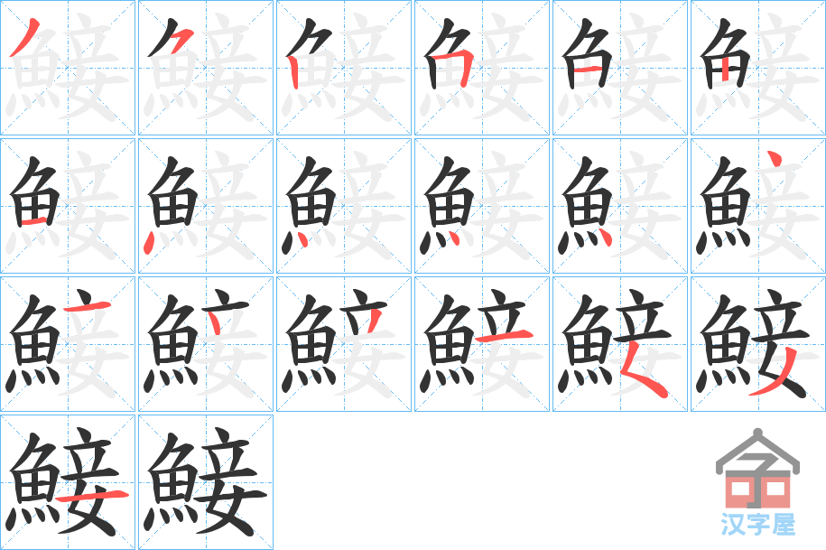 《鯜》的笔顺分步演示（一笔一画写字）