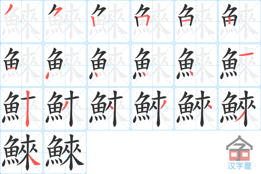 《鯠》的笔顺分步演示（一笔一画写字）