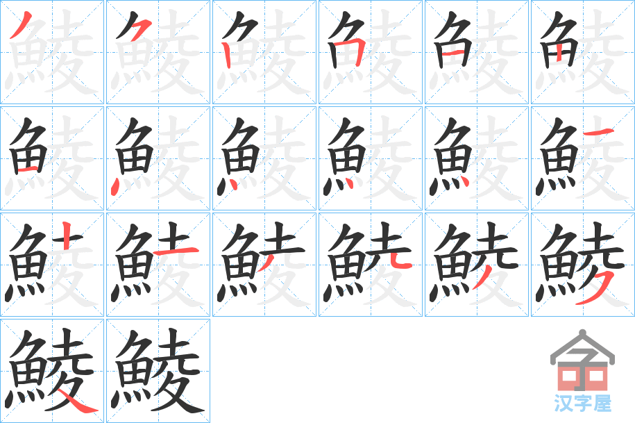 《鯪》的笔顺分步演示（一笔一画写字）