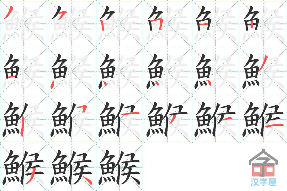 《鯸》的笔顺分步演示（一笔一画写字）