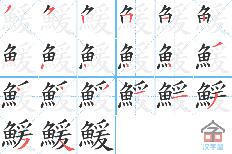 《鰀》的笔顺分步演示（一笔一画写字）