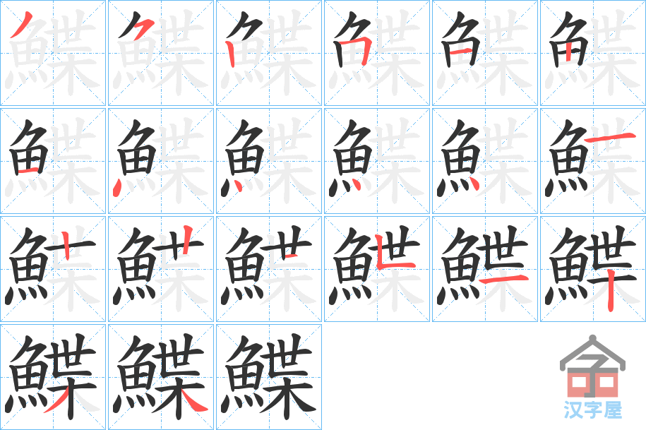 《鰈》的笔顺分步演示（一笔一画写字）