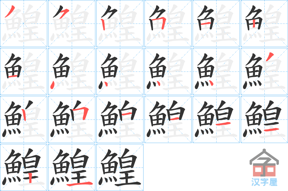 《鰉》的笔顺分步演示（一笔一画写字）