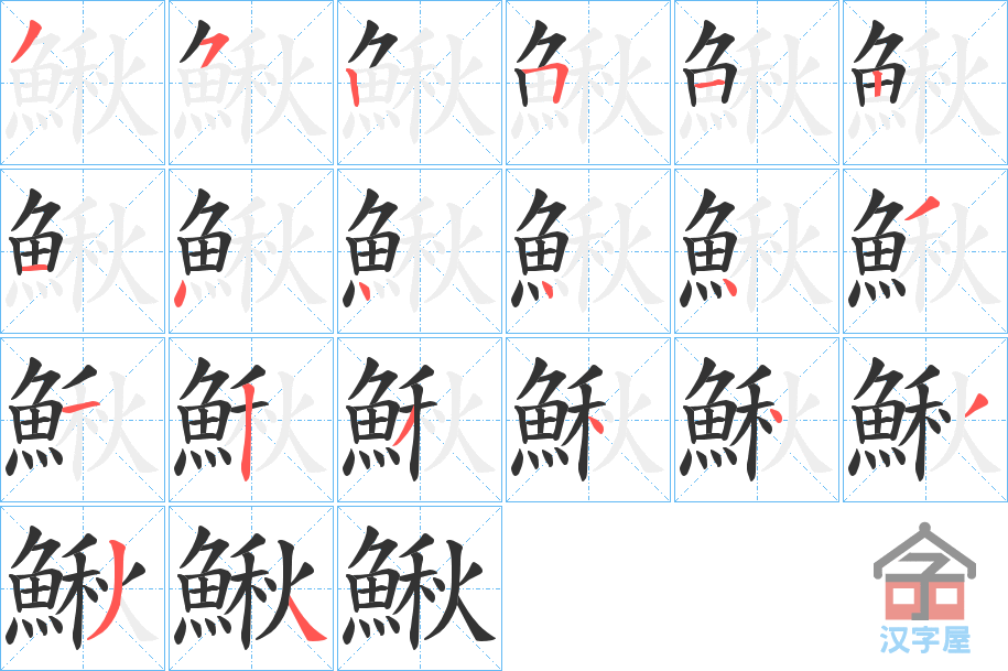 《鰍》的笔顺分步演示（一笔一画写字）