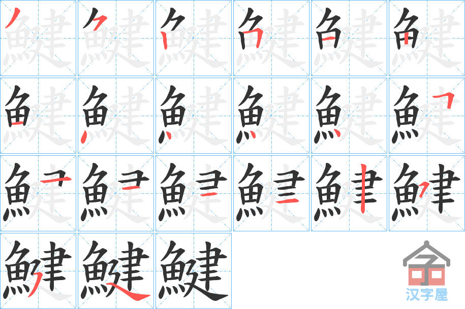 《鰎》的笔顺分步演示（一笔一画写字）