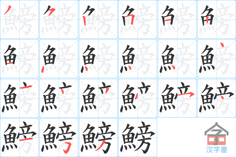 《鰟》的笔顺分步演示（一笔一画写字）