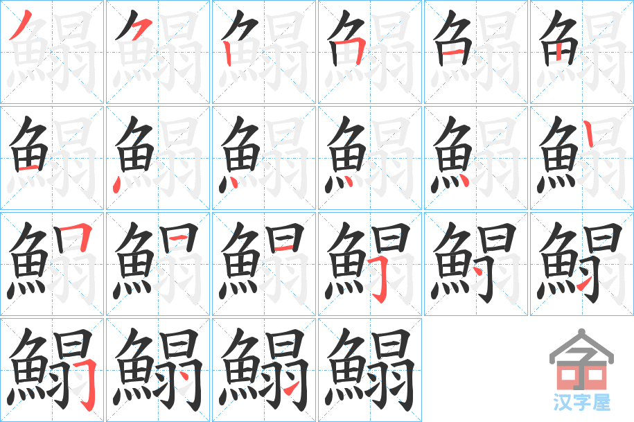 《鰨》的笔顺分步演示（一笔一画写字）