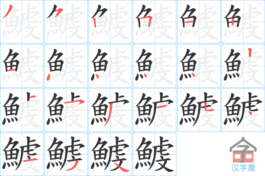 《鰬》的笔顺分步演示（一笔一画写字）