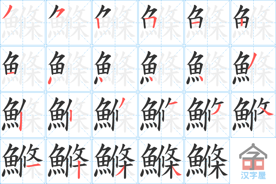 《鰷》的笔顺分步演示（一笔一画写字）