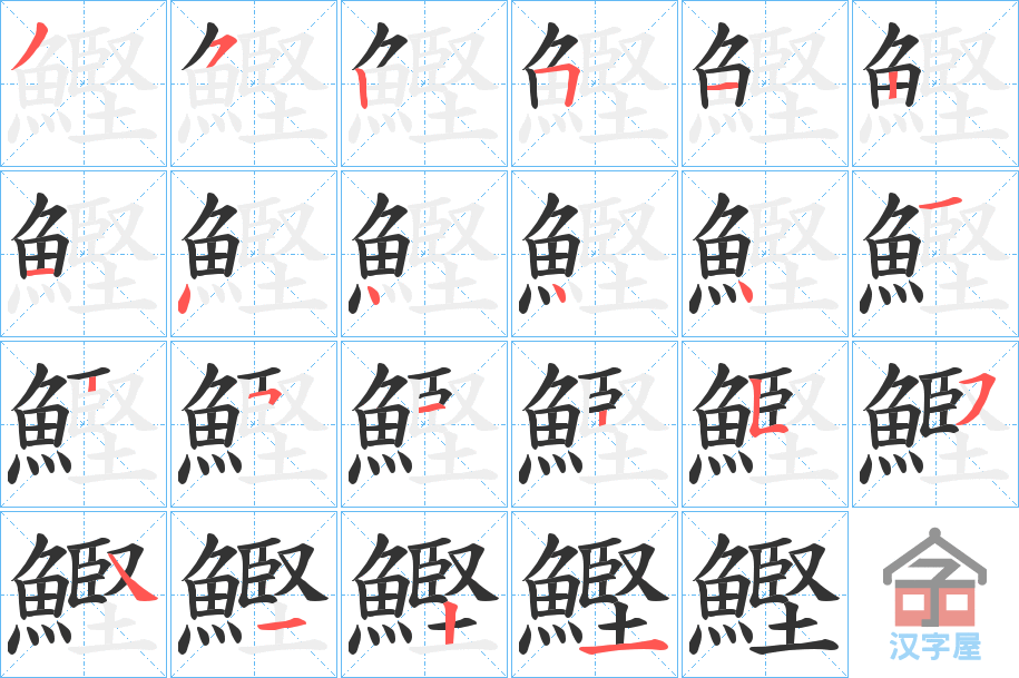 《鰹》的笔顺分步演示（一笔一画写字）