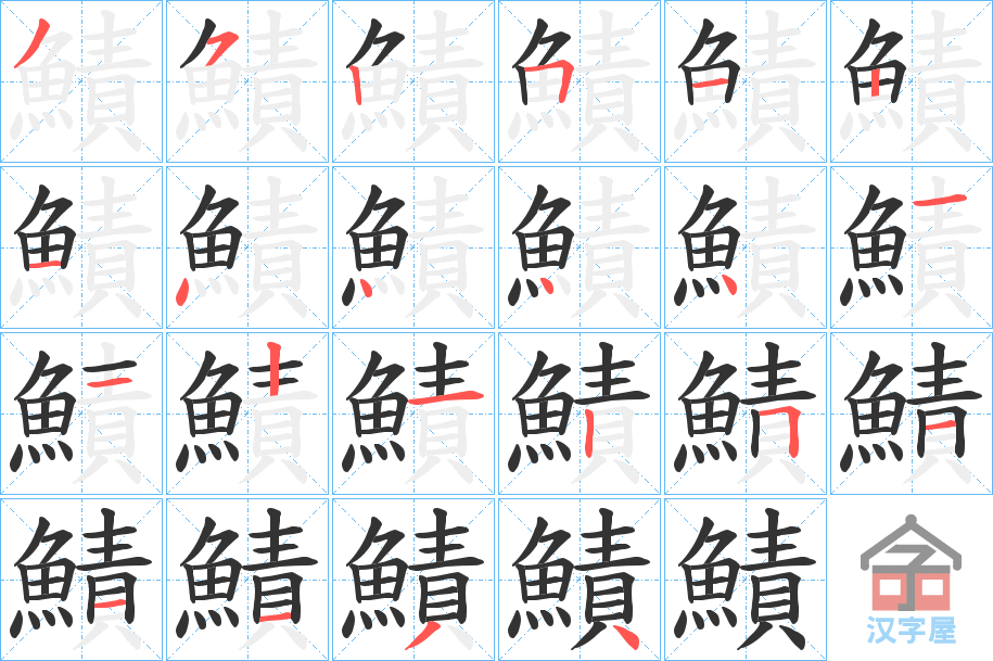 《鰿》的笔顺分步演示（一笔一画写字）