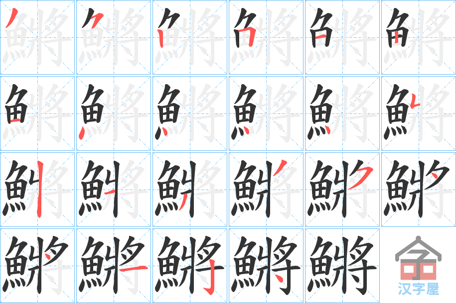 《鱂》的笔顺分步演示（一笔一画写字）