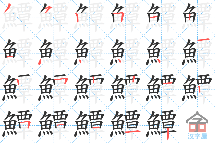 《鱏》的笔顺分步演示（一笔一画写字）