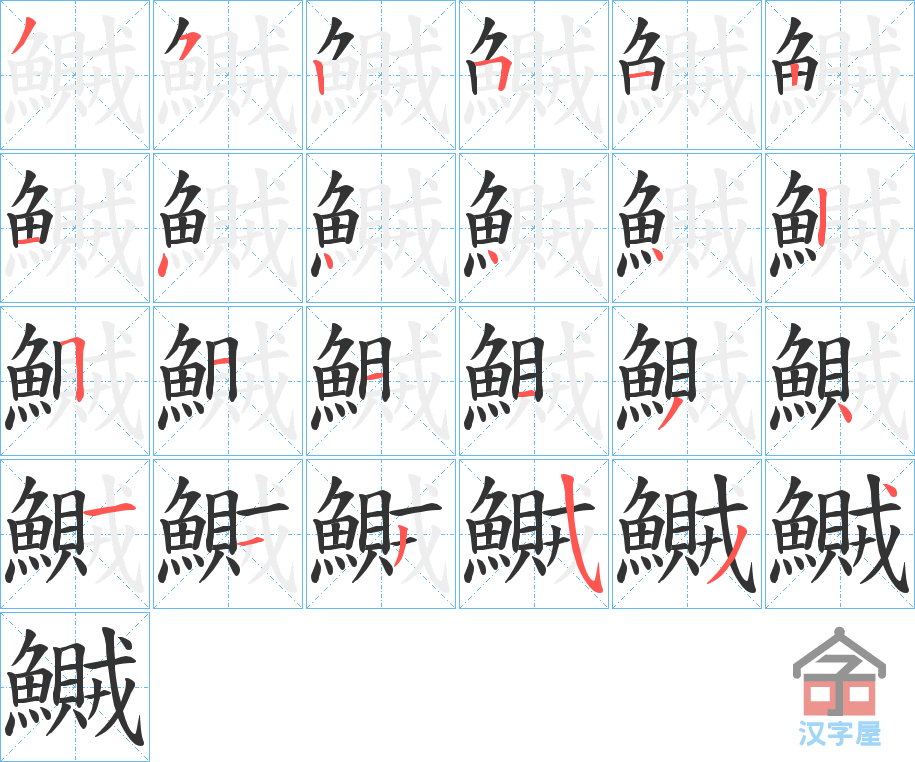 《鱡》的笔顺分步演示（一笔一画写字）