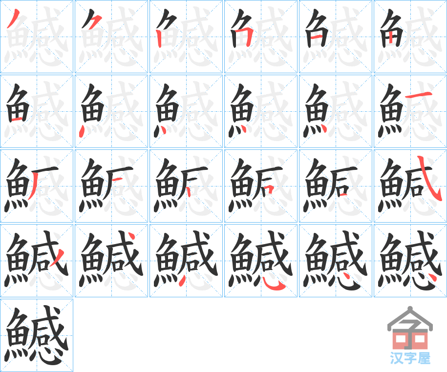 《鱤》的笔顺分步演示（一笔一画写字）