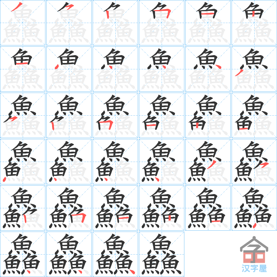 《鱻》的笔顺分步演示（一笔一画写字）