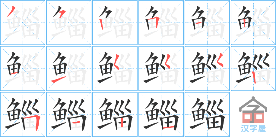 《鲻》的笔顺分步演示（一笔一画写字）