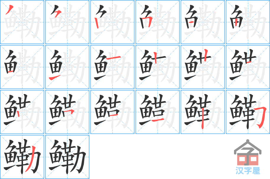 《鳓》的笔顺分步演示（一笔一画写字）