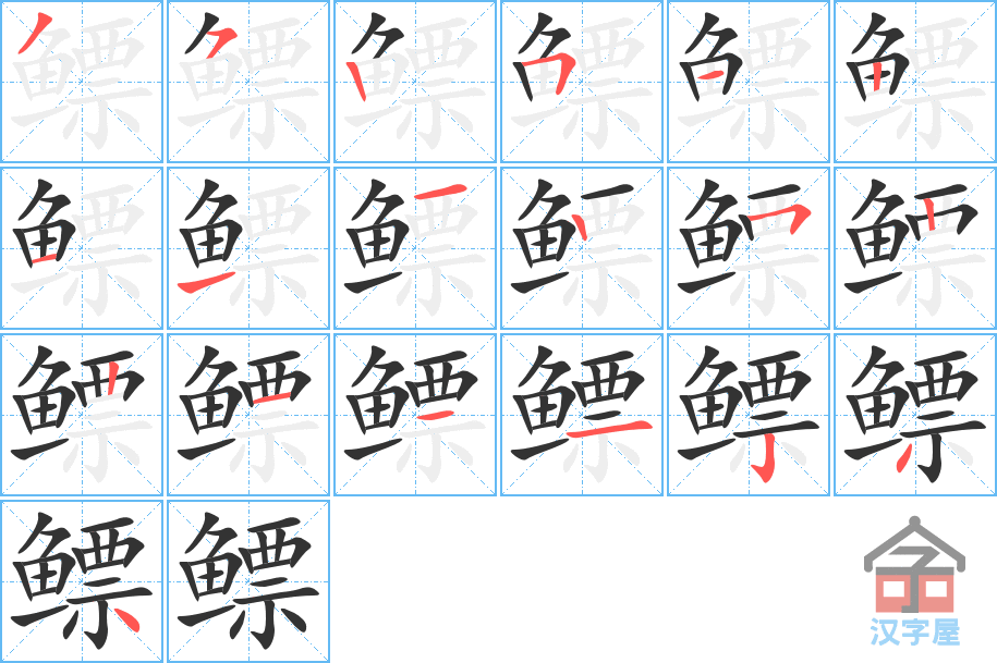 《鳔》的笔顺分步演示（一笔一画写字）