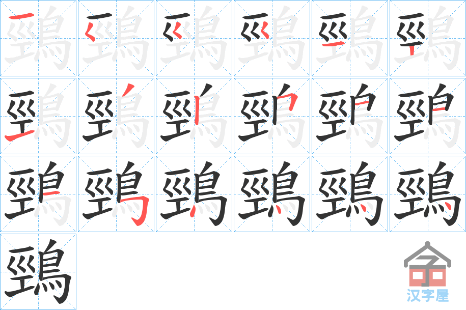 《鵛》的笔顺分步演示（一笔一画写字）