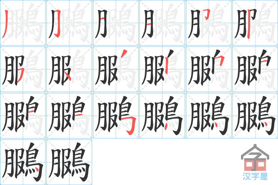 《鵩》的笔顺分步演示（一笔一画写字）