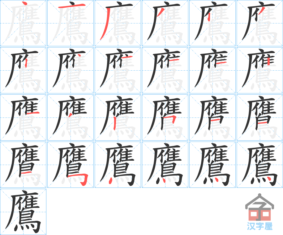 《鷹》的笔顺分步演示（一笔一画写字）