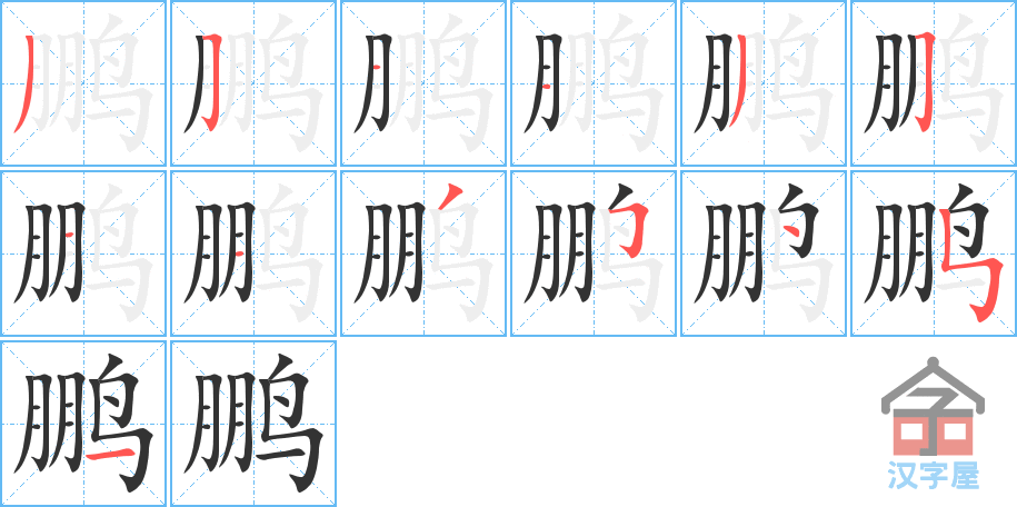 《鹏》的笔顺分步演示（一笔一画写字）
